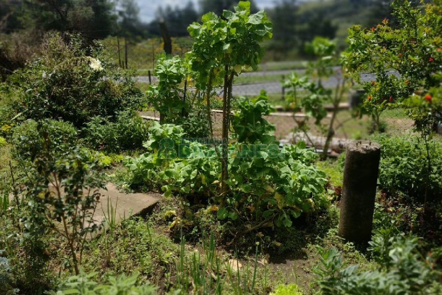 Casa com 115m², 3 dormitórios, 1 vaga, no bairro Desvio Rizzo em Caxias do Sul para Comprar