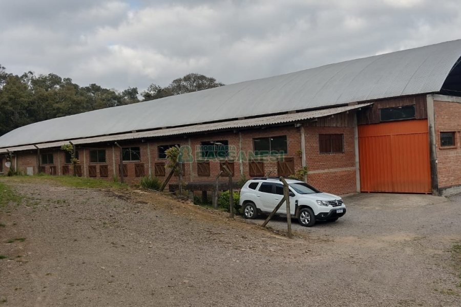 Chácara, no bairro Centro em Caxias do Sul para Comprar