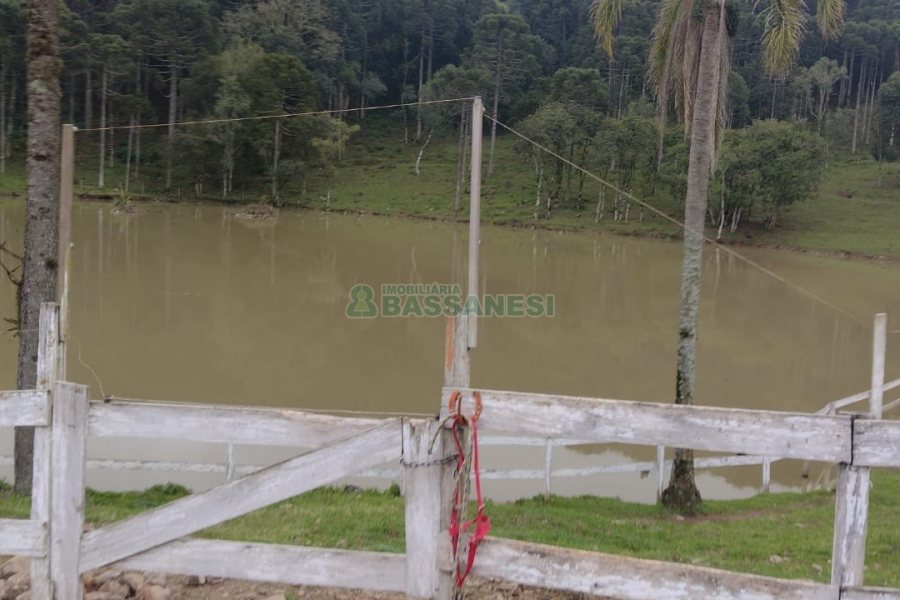 Chácara, no bairro Centro em Caxias do Sul para Comprar