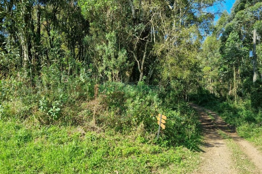 Chácara com 80m², no bairro Forqueta em Caxias do Sul para Comprar