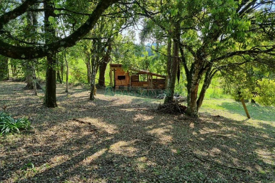 Chácara com 80m², no bairro Forqueta em Caxias do Sul para Comprar