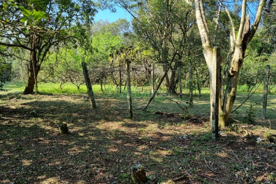 Chácara com 80m², no bairro Forqueta em Caxias do Sul para Comprar