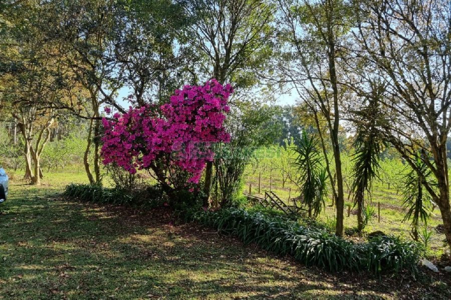 Chácara com 80m², no bairro Forqueta em Caxias do Sul para Comprar