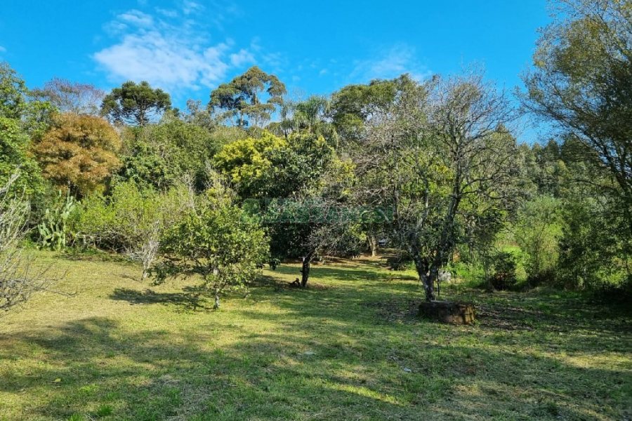 Chácara com 80m², no bairro Forqueta em Caxias do Sul para Comprar