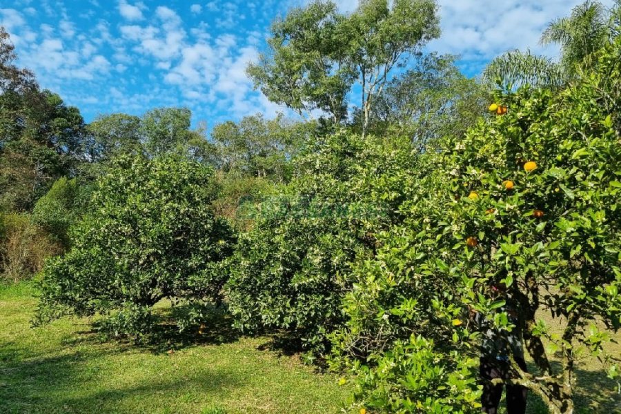 Chácara com 80m², no bairro Forqueta em Caxias do Sul para Comprar