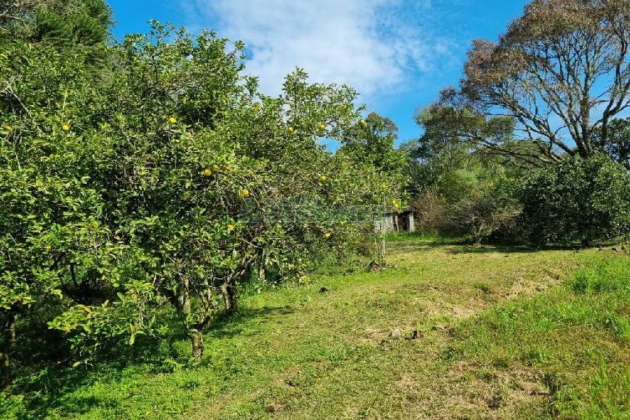 Chácara com 80m², no bairro Forqueta em Caxias do Sul para Comprar