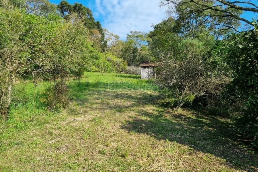 Chácara com 80m², no bairro Forqueta em Caxias do Sul para Comprar