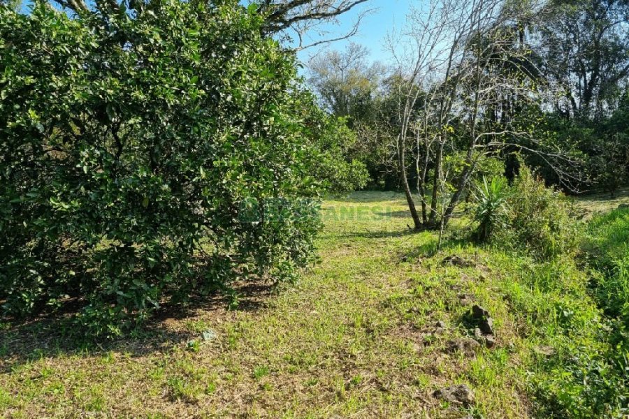 Chácara com 80m², no bairro Forqueta em Caxias do Sul para Comprar