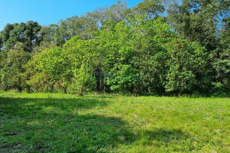 Chácara com 80m², no bairro Forqueta em Caxias do Sul para Comprar