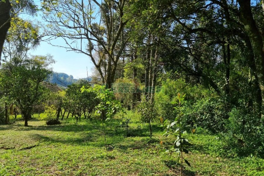 Chácara com 80m², no bairro Forqueta em Caxias do Sul para Comprar