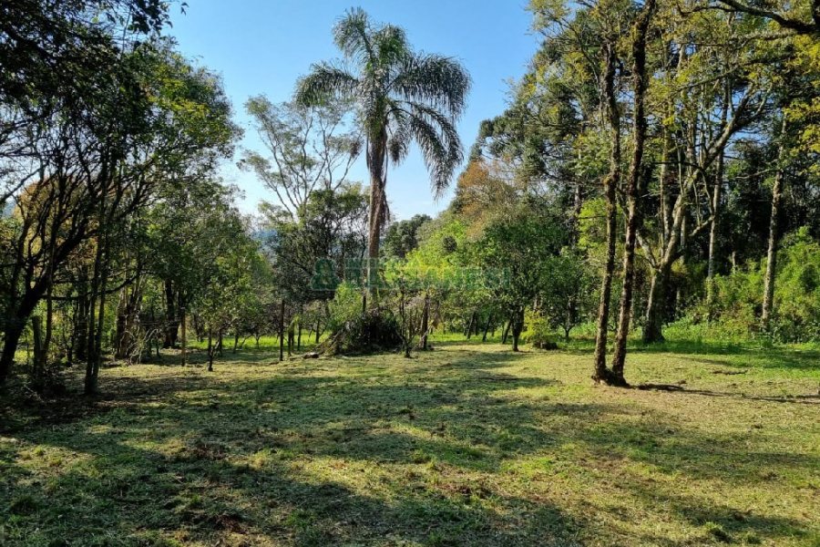 Chácara com 80m², no bairro Forqueta em Caxias do Sul para Comprar