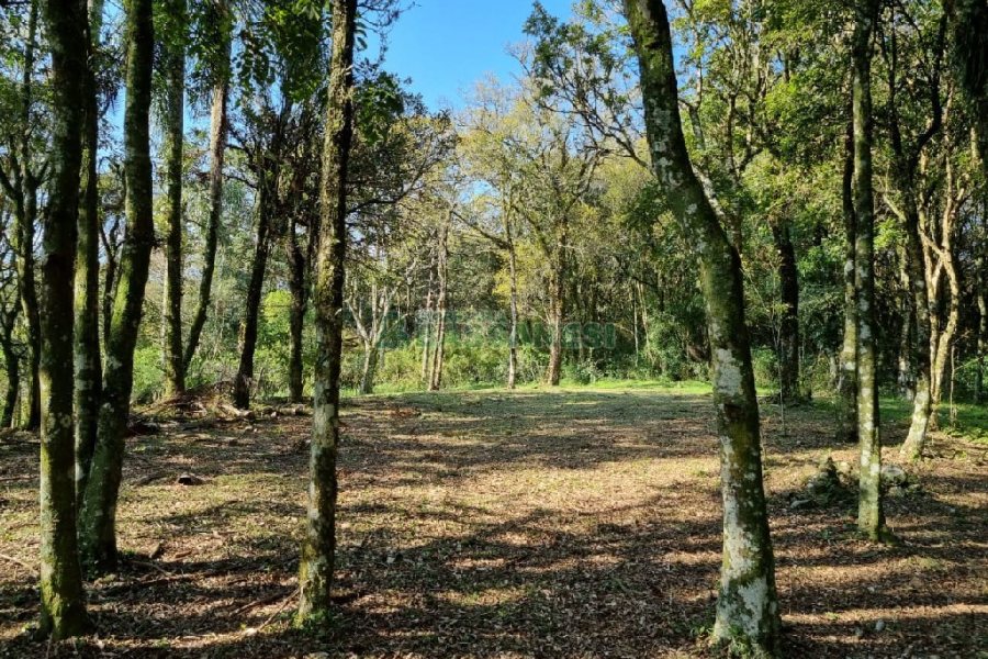 Chácara com 80m², no bairro Forqueta em Caxias do Sul para Comprar