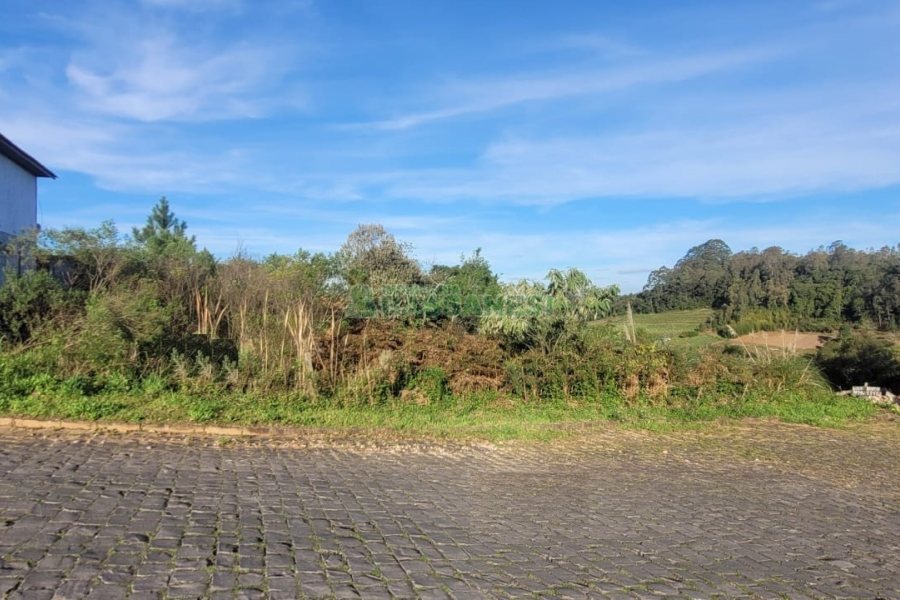 Terreno, no bairro São Luiz em Caxias do Sul para Comprar