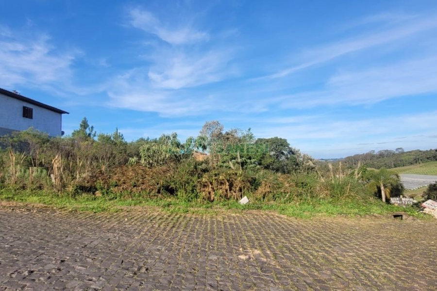 Terreno, no bairro São Luiz em Caxias do Sul para Comprar