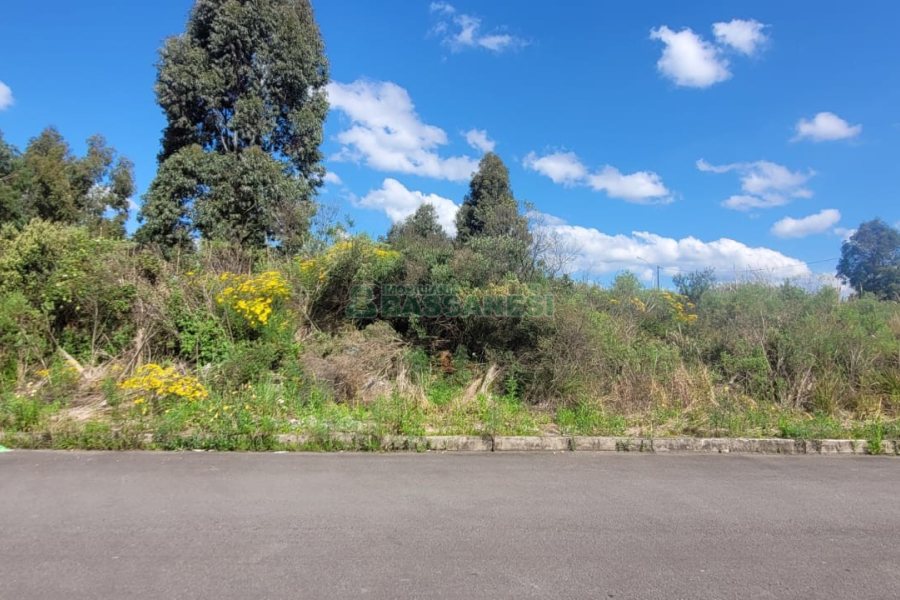 Terreno, no bairro Sanvitto em Caxias do Sul para Comprar