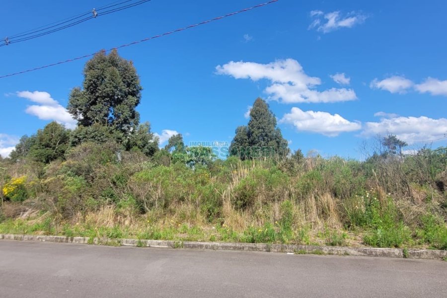 Terreno, no bairro Sanvitto em Caxias do Sul para Comprar