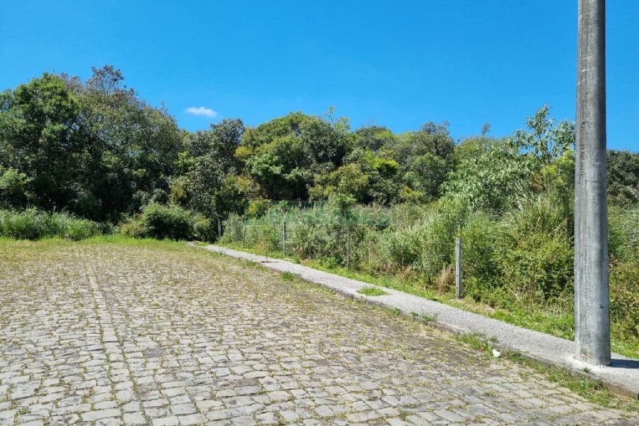 Terreno com 304m², no bairro Desvio Rizzo em Caxias do Sul para Comprar