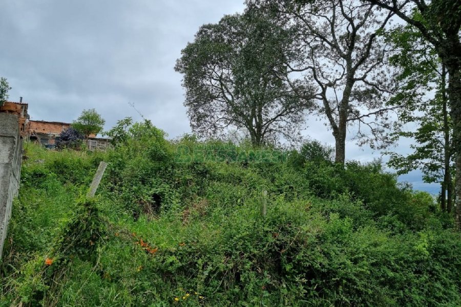 Terreno, no bairro Brandalise em Caxias do Sul para Comprar