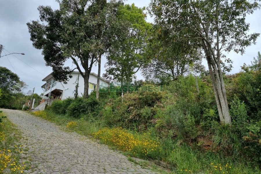 Terreno, no bairro Brandalise em Caxias do Sul para Comprar