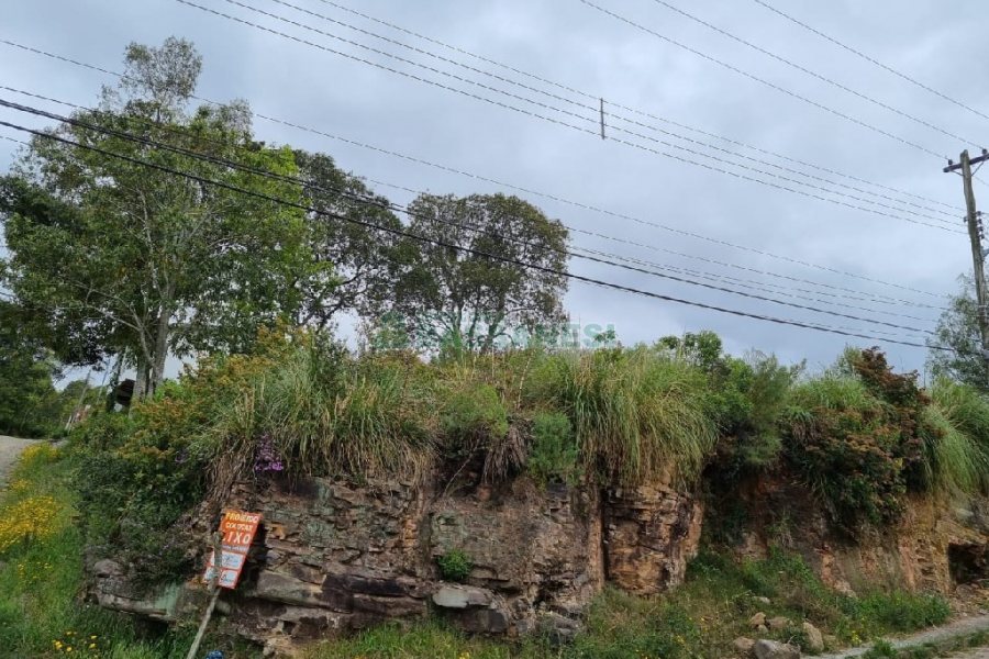 Terreno, no bairro Brandalise em Caxias do Sul para Comprar