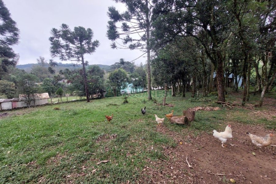 Casa com 152m², 3 dormitórios, 3 vagas, no bairro Kayser em Caxias do Sul para Alugar ou Comprar