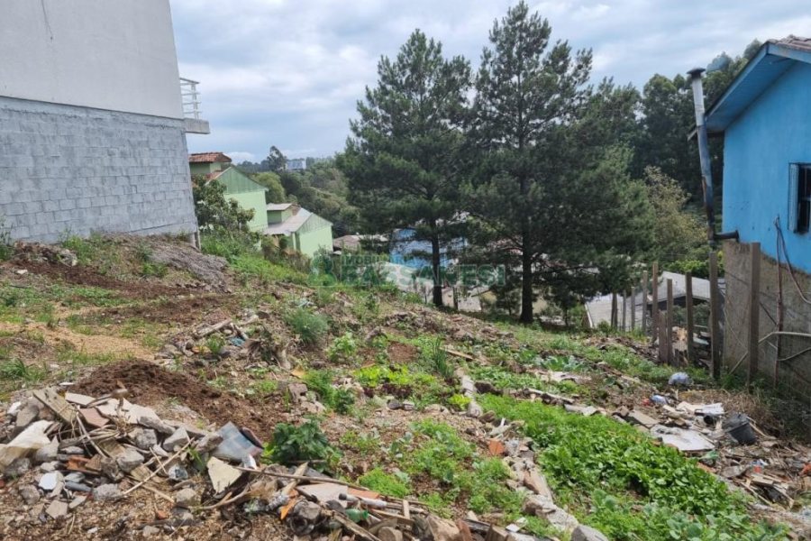 Terreno com 360m², no bairro Desvio Rizzo em Caxias do Sul para Comprar