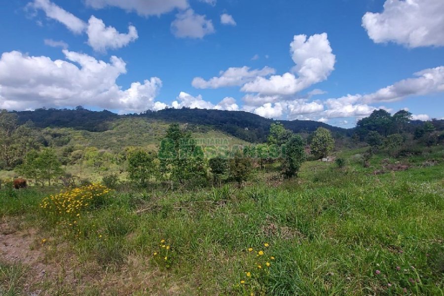 Terreno, no bairro Desvio Rizzo em Caxias do Sul para Comprar