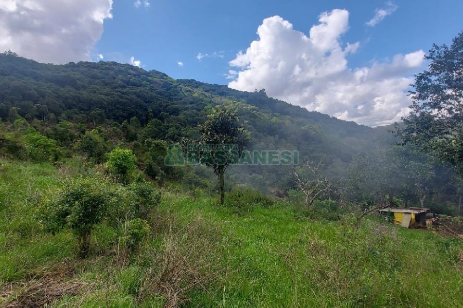 Terreno, no bairro Desvio Rizzo em Caxias do Sul para Comprar