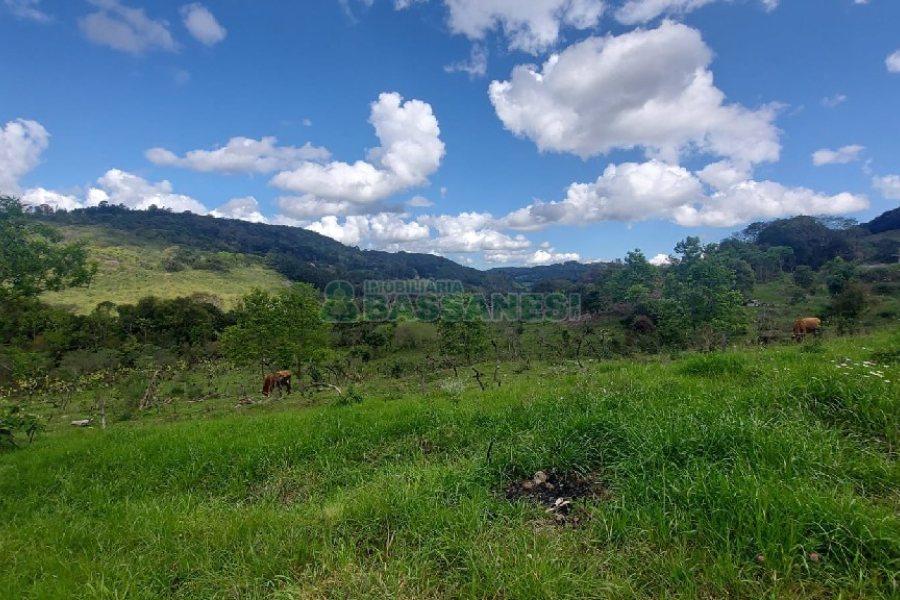 Terreno, no bairro Desvio Rizzo em Caxias do Sul para Comprar