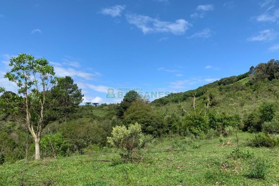 Chácara, no bairro Linha 40 em Caxias do Sul para Comprar