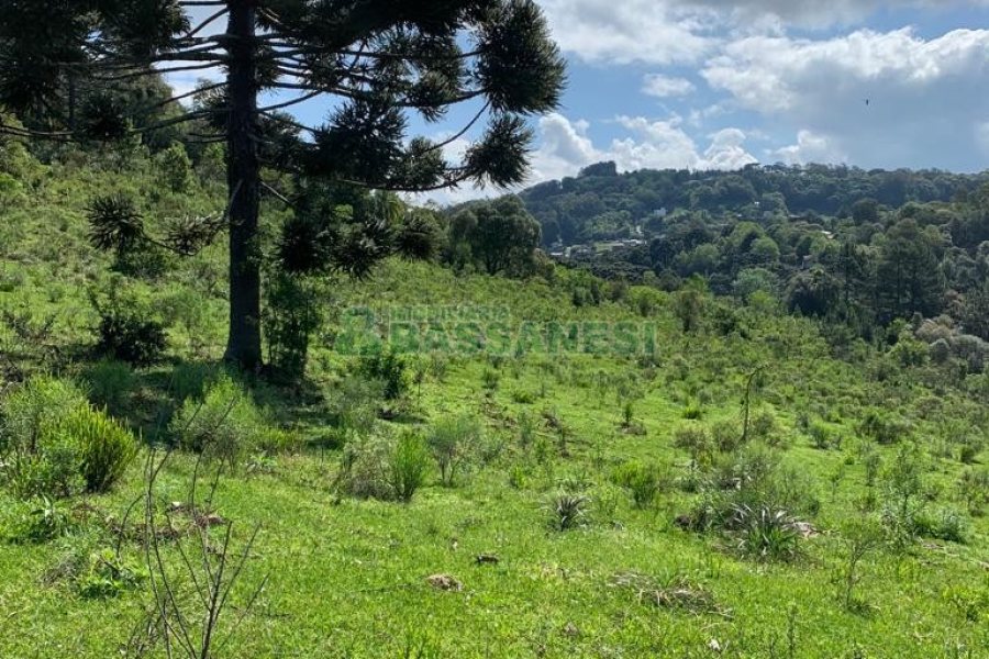 Chácara, no bairro Linha 40 em Caxias do Sul para Comprar