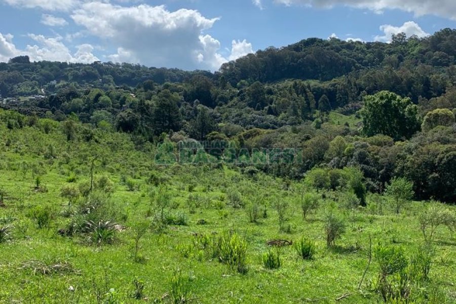 Chácara, no bairro Linha 40 em Caxias do Sul para Comprar