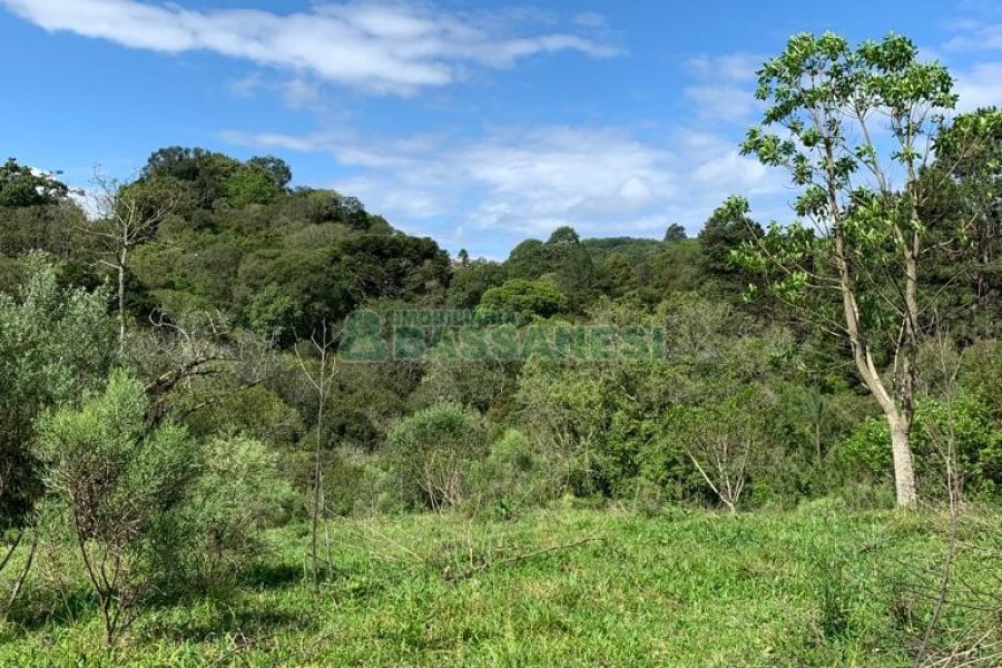Chácara, no bairro Linha 40 em Caxias do Sul para Comprar