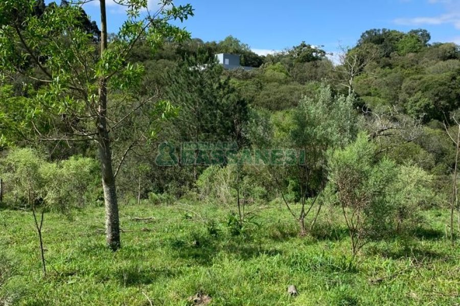 Chácara, no bairro Linha 40 em Caxias do Sul para Comprar