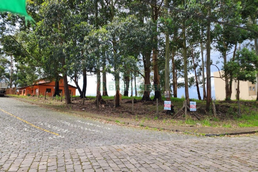 Terreno, no bairro Sanvitto em Caxias do Sul para Comprar
