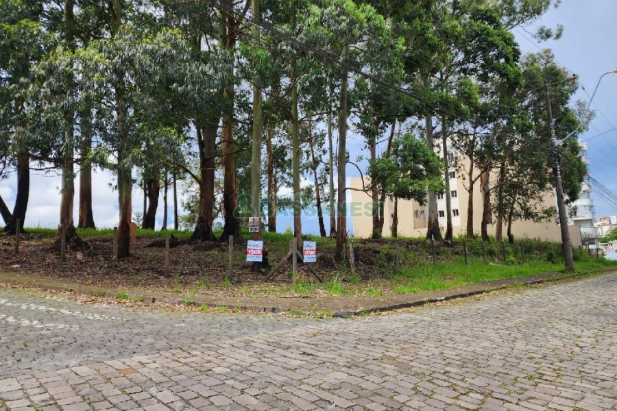 Terreno, no bairro Sanvitto em Caxias do Sul para Comprar