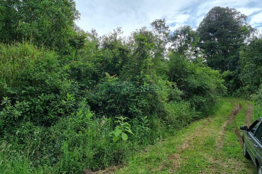 Chácara, no bairro São Caetano em Caxias do Sul para Comprar