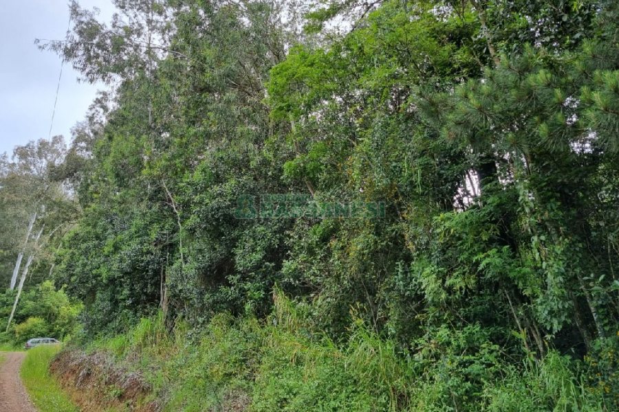 Chácara, no bairro São Caetano em Caxias do Sul para Comprar