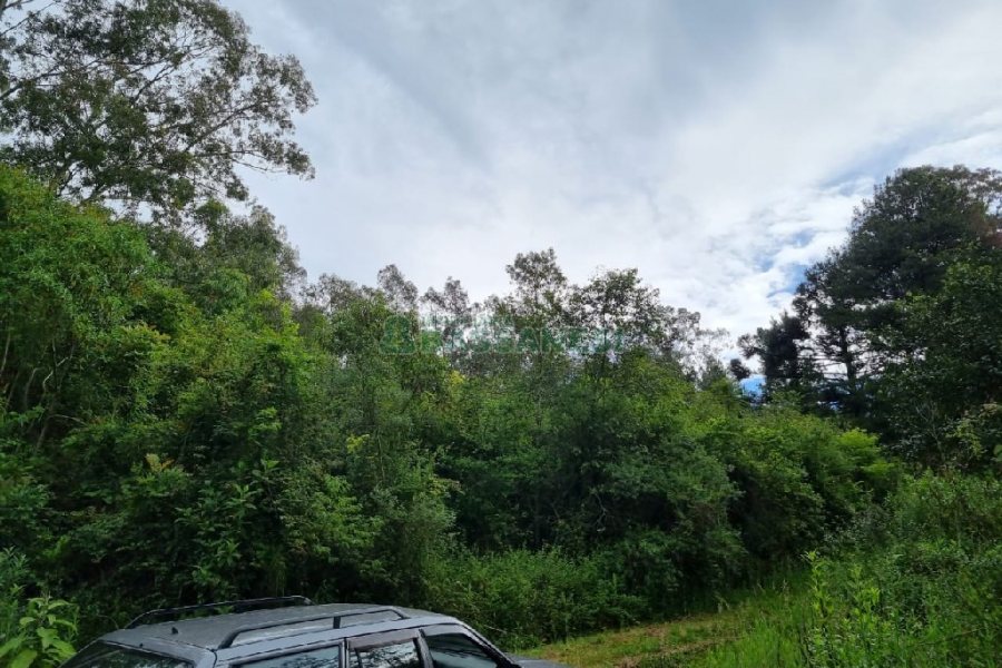 Chácara, no bairro São Caetano em Caxias do Sul para Comprar