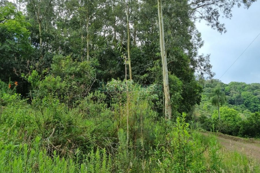 Chácara, no bairro São Caetano em Caxias do Sul para Comprar