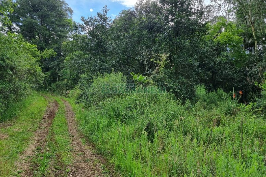 Chácara, no bairro São Caetano em Caxias do Sul para Comprar