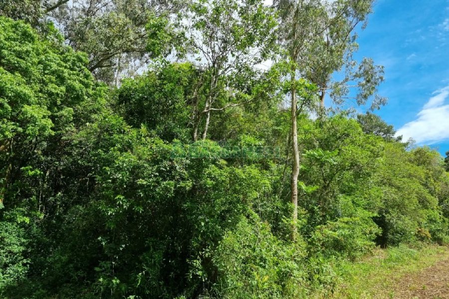 Chácara, no bairro São Caetano em Caxias do Sul para Comprar