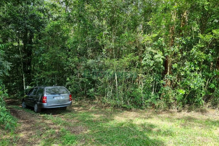 Chácara, no bairro São Caetano em Caxias do Sul para Comprar