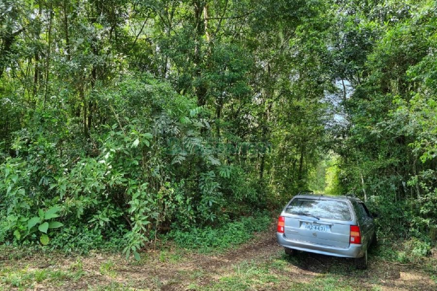Chácara, no bairro São Caetano em Caxias do Sul para Comprar