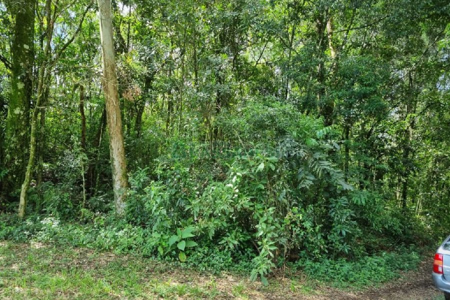 Chácara, no bairro São Caetano em Caxias do Sul para Comprar