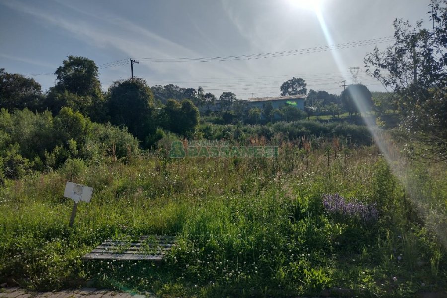 Terreno com 375m², no bairro Nossa Senhora da Saúde em Caxias do Sul para Comprar
