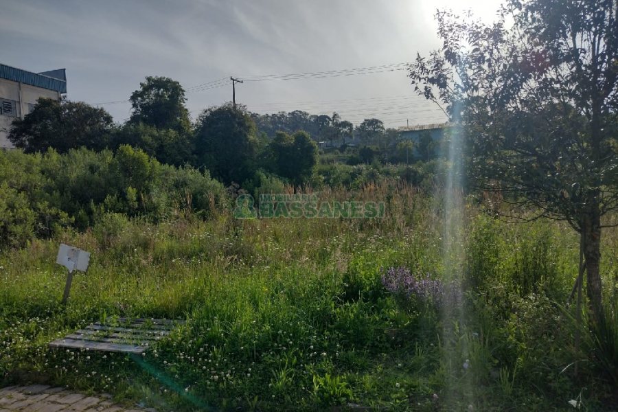 Terreno com 375m², no bairro Nossa Senhora da Saúde em Caxias do Sul para Comprar