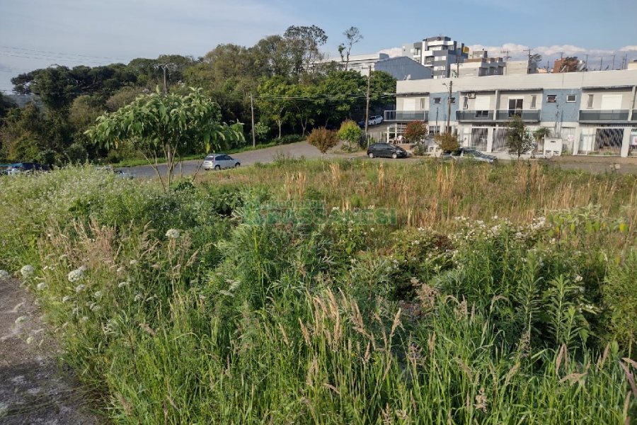Terreno com 375m², no bairro Nossa Senhora da Saúde em Caxias do Sul para Comprar