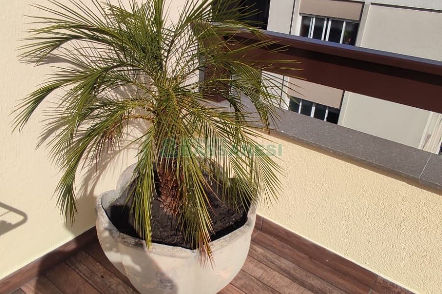 Sobrado com 257m², 4 dormitórios, 3 vagas, no bairro Colina Sorriso em Caxias do Sul para Comprar