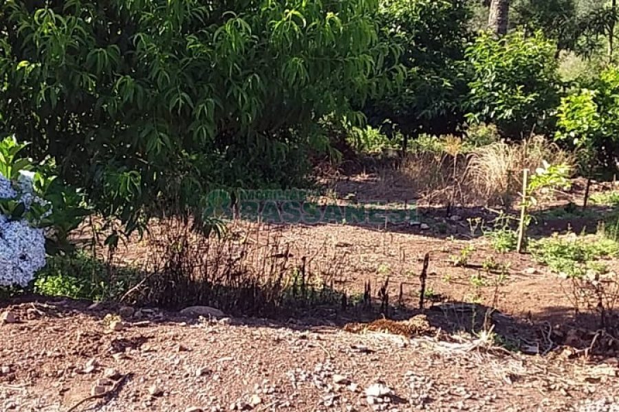 Chácara com 80m², 3 dormitórios, no bairro Pedras Brancas em São Marcos para Comprar
